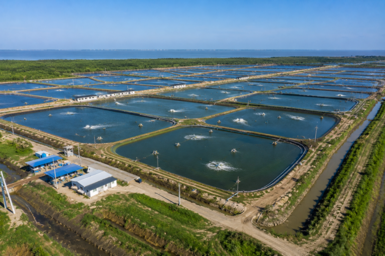 Camaronera moderna en la Costa del Ecuador utilizada para avalúo técnico especializado de activos acuícolas